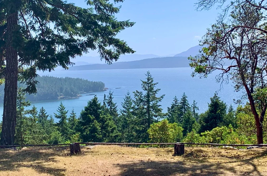 House for sale at 332 Deacon Hill Road Mayne Island British Columbia - MLS: R3140230