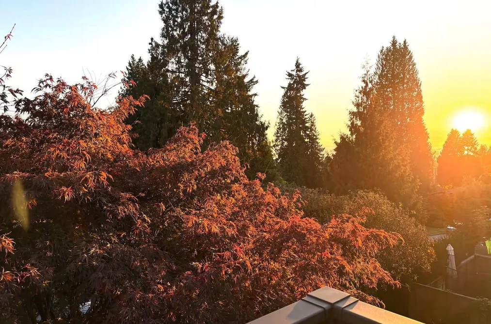 336 E 26TH STREET, North Vancouver BC V7N 1B1, North Vancouver BC — Residential for Sale — Photo 33 of 39