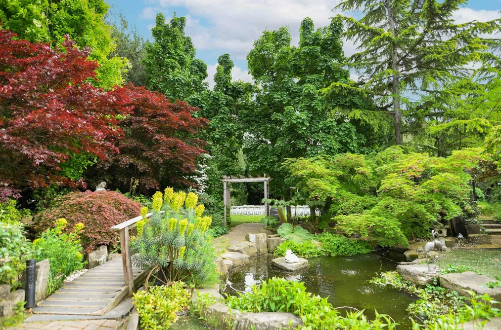 3387 TOLMIE ROAD, Abbotsford BC V3G 2T9, Abbotsford BC — Residential for Sale - Photo 5