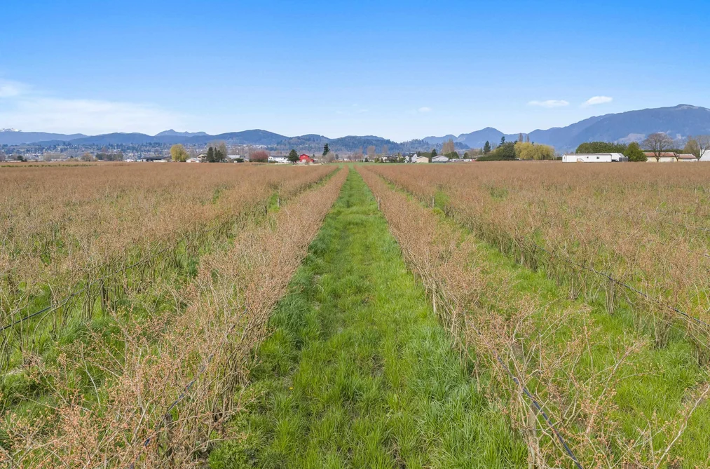 34211 HALLERT ROAD, Abbotsford BC V3G 1P9, Abbotsford BC — Residential for Sale - Photo 7