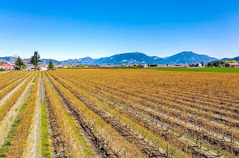 34221 TOWNSHIPLINE ROAD, Abbotsford BC V3G 1R1, Abbotsford BC — Residential for Sale - Photo 3