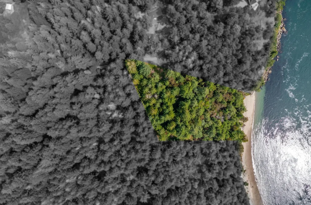 354 ORCA VIEW LANE, Galiano Island BC V0N 1P0, Galiano Island BC — Land for Sale - Photo 2