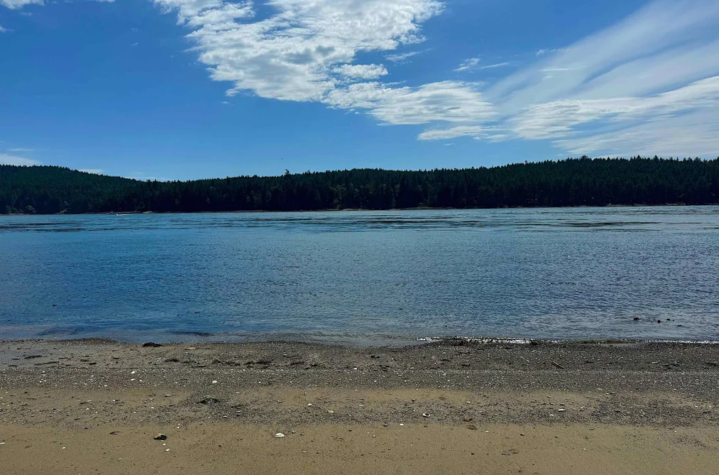 354 ORCA VIEW LANE, Galiano Island BC V0N 1P0, Galiano Island BC — Land for Sale - Photo 3