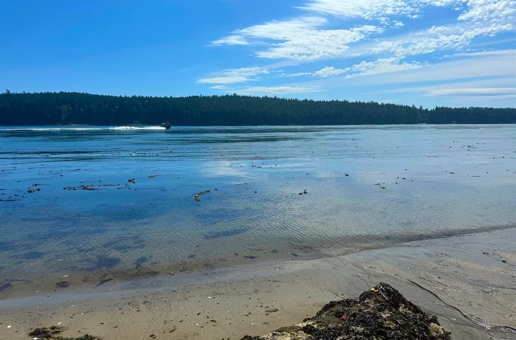 354 ORCA VIEW LANE, Galiano Island BC V0N 1P0, Galiano Island BC — Land for Sale - Photo 6