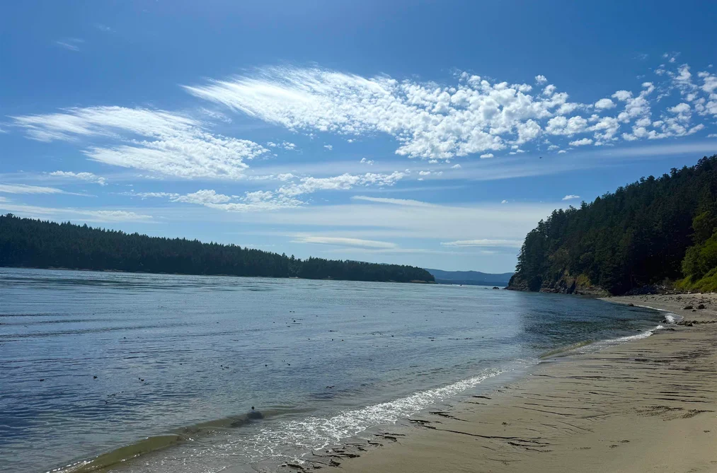 354 ORCA VIEW LANE, Galiano Island BC V0N 1P0, Galiano Island BC — Land for Sale - Photo 7