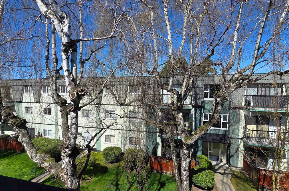 356 8131 RYAN ROAD, Richmond BC V7A 2E4, Richmond BC — Residential for Sale - Photo 2