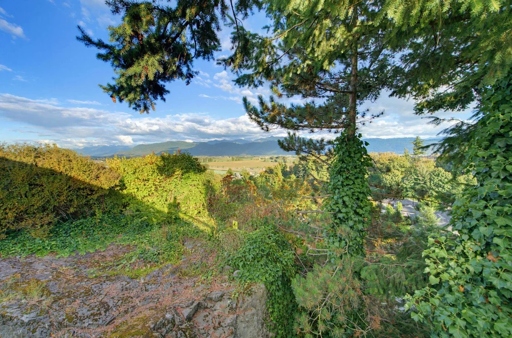 36042 Southridge Place, Abbotsford, BC - MLS: R3168829 - Photo 33 36042 Southridge Place, Abbotsford, BC - MLS: R3168829 - Photo 33