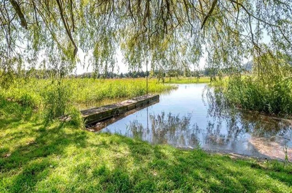 36071 SHORE ROAD, Mission BC V2V 4J1, Mission BC — Residential for Sale - Photo 4