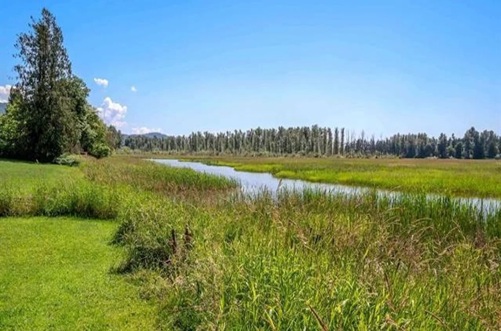 36071 SHORE ROAD, Mission BC V2V 4J1, Mission BC — Residential for Sale - Photo 5