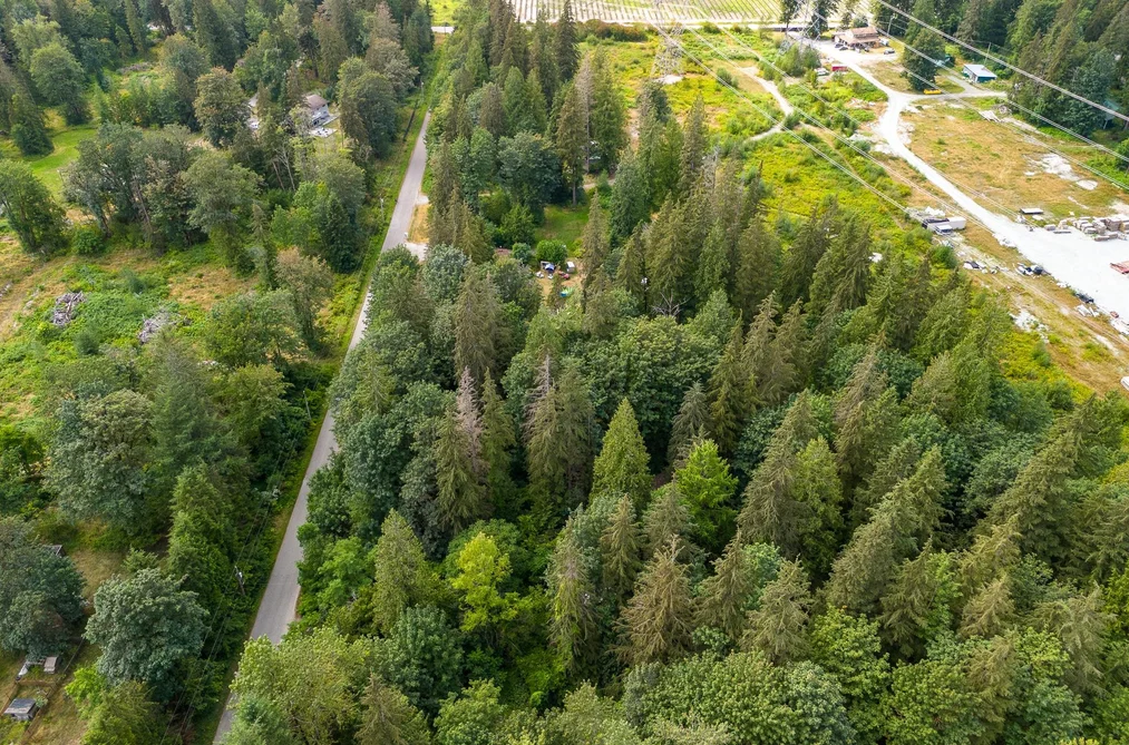 36111 RIDGEVIEW ROAD, Mission BC V2V 4J1, Mission BC — Residential for Sale - Photo 2