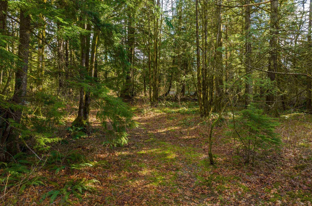 36161 RIDGEVIEW ROAD, Mission BC V2V 0B9, Mission BC — Residential for Sale - Photo 2
