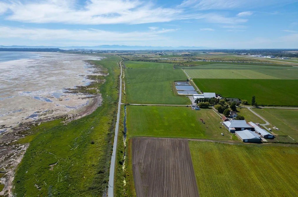 3636 88 STREET, Delta BC V4K 3N3, Delta BC — Land for Sale - Photo 2