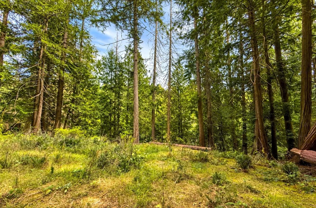Property for sale at 364 Linklater Road Galiano Island British Columbia - MLS: R3151546