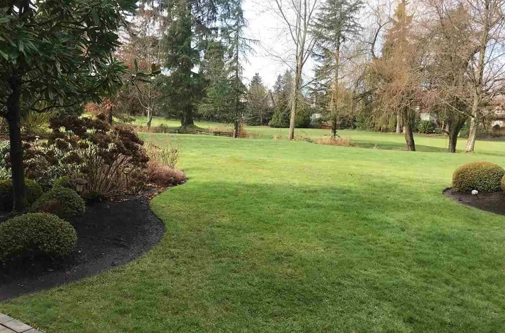 3689 159A STREET, Surrey BC V3Z 0P1, Surrey BC — Residential for Sale - Photo 2