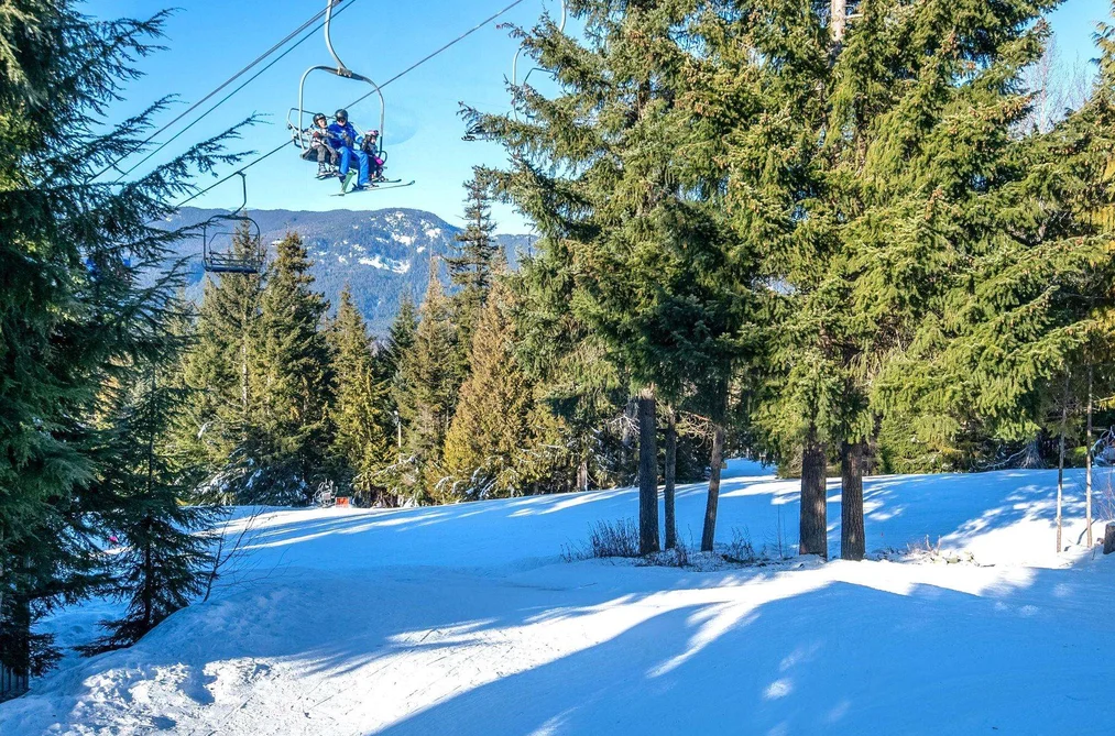 37 4700 GLACIER DRIVE, Whistler BC V0N 1B4, Whistler BC — Residential for Sale - Photo 4