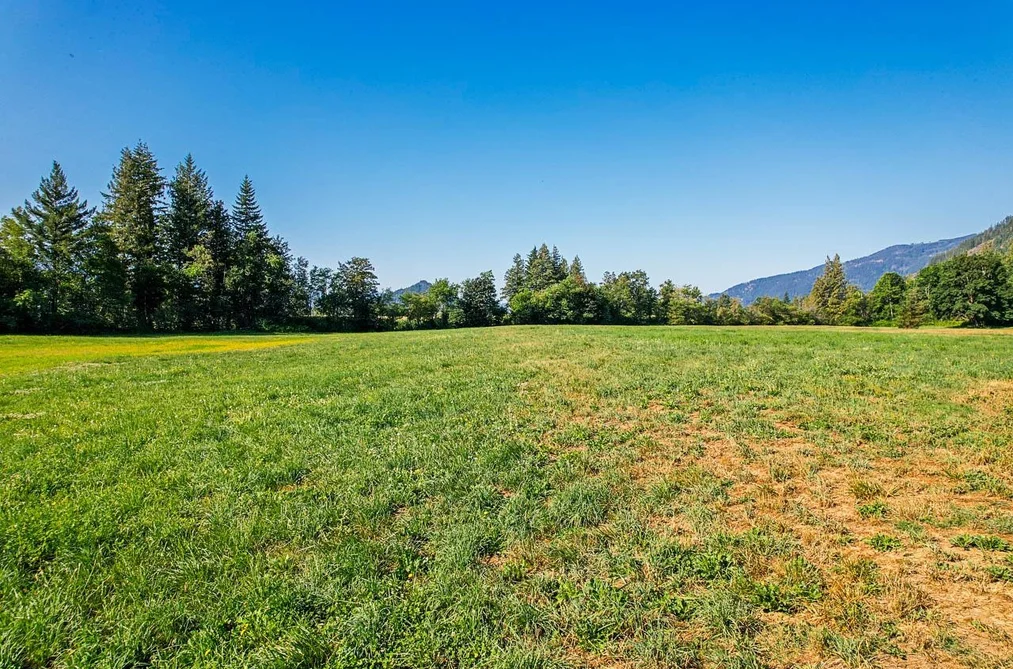 3705 HOT SPRINGS ROAD, Agassiz BC V0M 1A3, Agassiz BC — Land for Sale - Photo 2