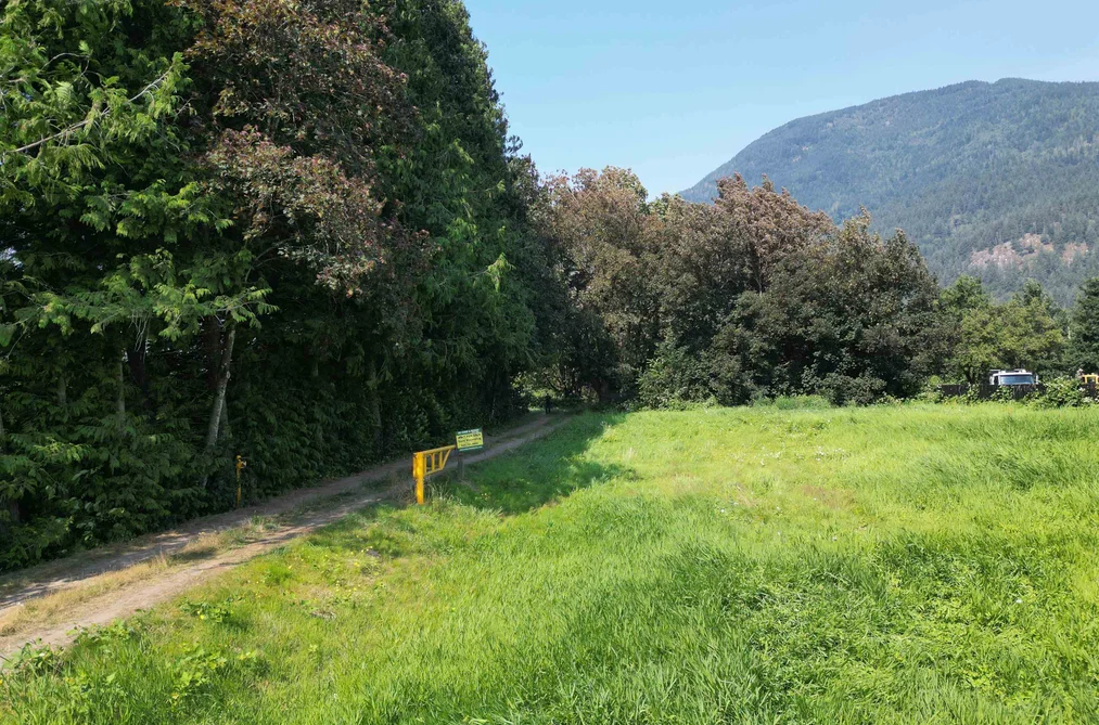 3705 Hot Springs Road, Agassiz, BC - MLS: R3162200 - Photo 9 3705 Hot Springs Road, Agassiz, BC - MLS: R3162200 - Photo 9
