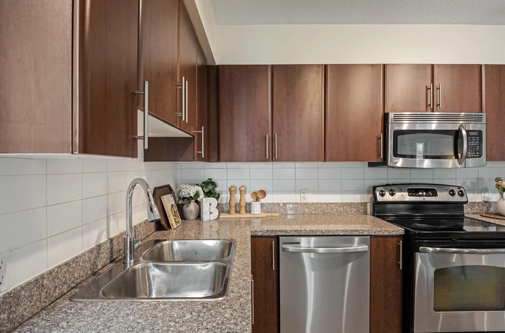 3802 1178 HEFFLEY CRESCENT, Coquitlam BC V3B 0A7, Coquitlam BC — Residential for Sale — Photo 5 of 21