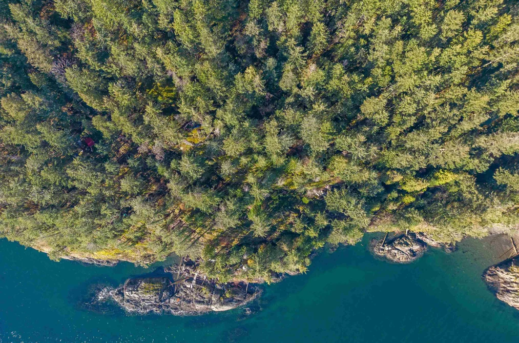 381 WATERFRONT, Bowen Island BC V0N 1G2, Bowen Island BC — Land for Sale - Photo 3
