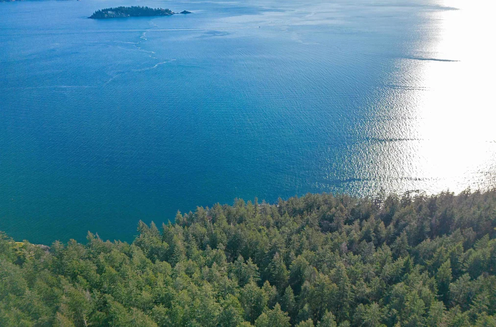381 WATERFRONT, Bowen Island BC V0N 1G2, Bowen Island BC — Land for Sale - Photo 5