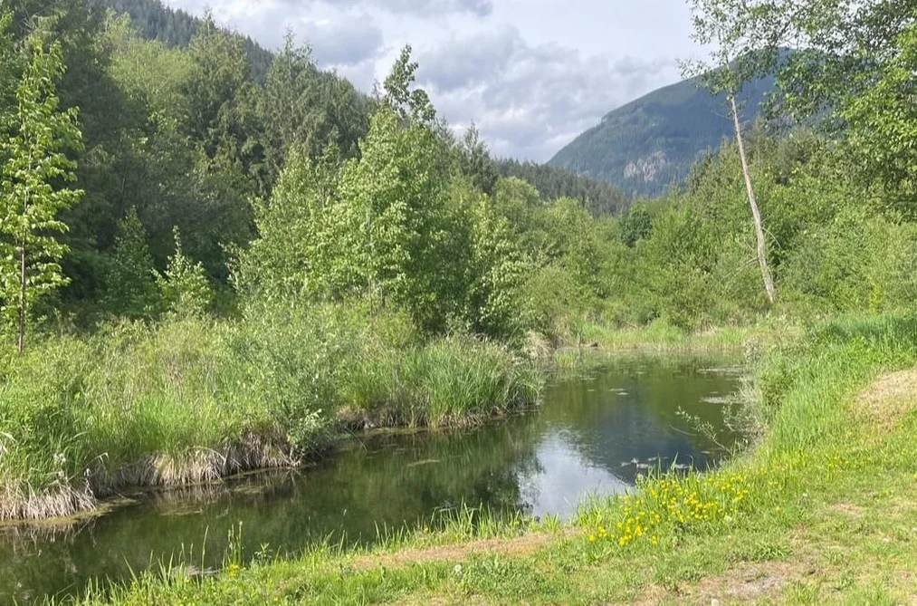 38205 BELL ROAD, Mission BC V2V 7K6, Mission BC — Land for Sale - Photo 2