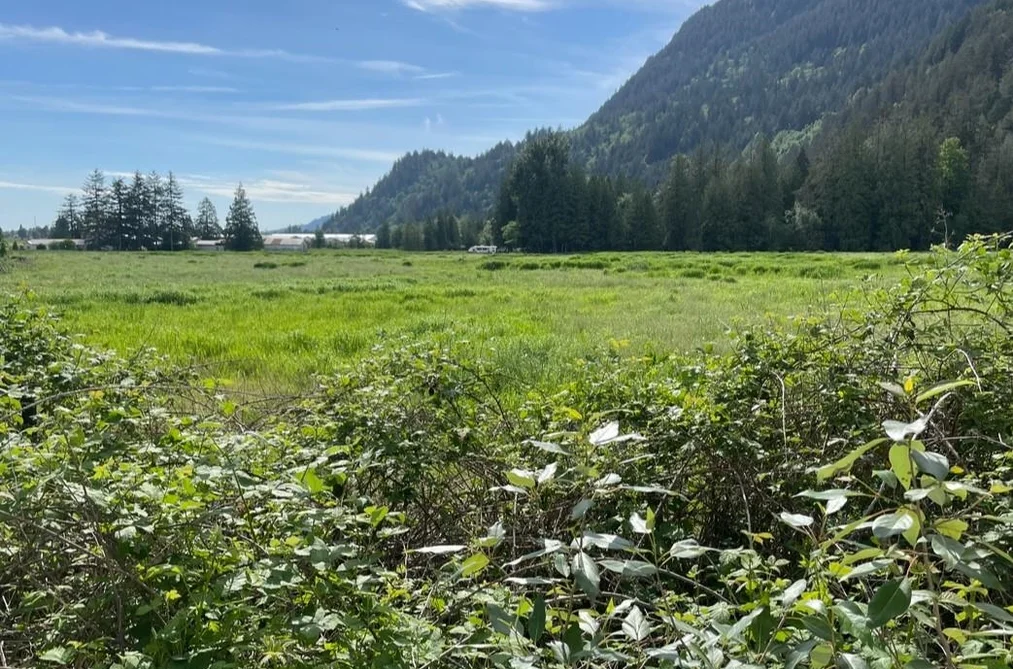 38205 BELL ROAD, Mission BC V2V 7K6, Mission BC — Land for Sale - Photo 3