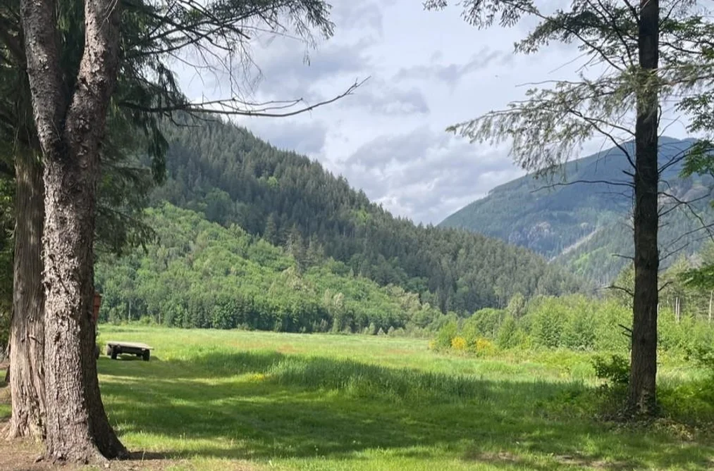 38205 BELL ROAD, Mission BC V2V 7K6, Mission BC — Land for Sale - Photo 6