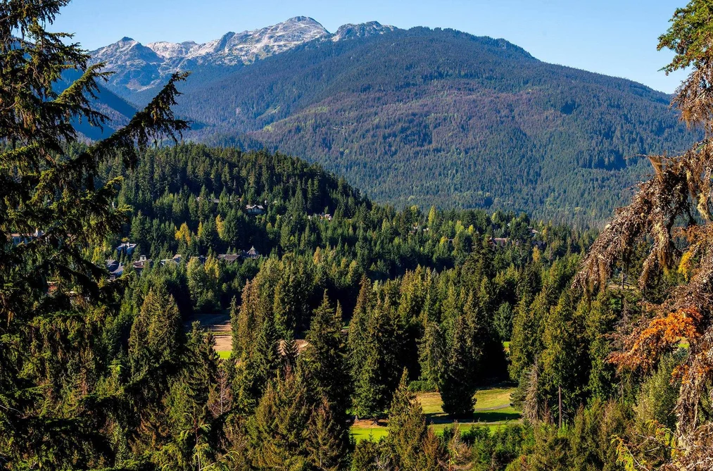 3853 SUNRIDGE COURT, Whistler BC V8E 0W1, Whistler BC — Land for Sale - Photo 5