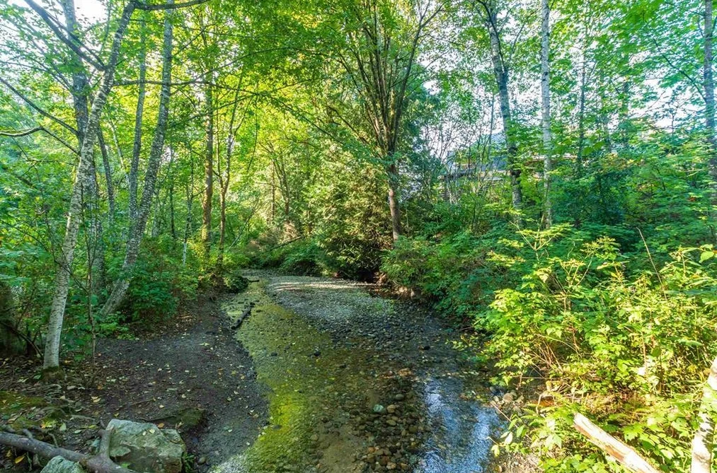 3863 COACHSTONE WAY, Abbotsford BC V2S 8G7, Abbotsford BC — Land for Sale - Photo 5