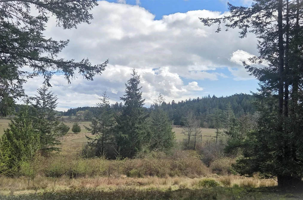 Property for sale at 392 Campbell Bay Road Mayne Island British Columbia - MLS: R3106832