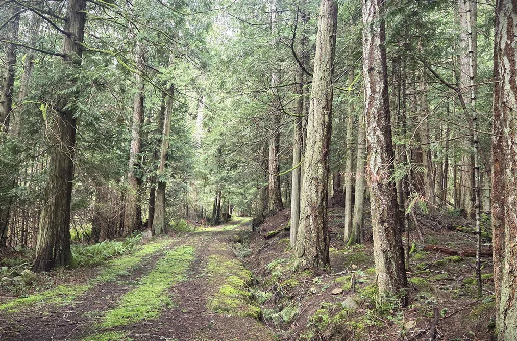 392 CAMPBELL BAY ROAD, Mayne Island BC V0N 2J1, Mayne Island BC — Land for Sale - Photo 2