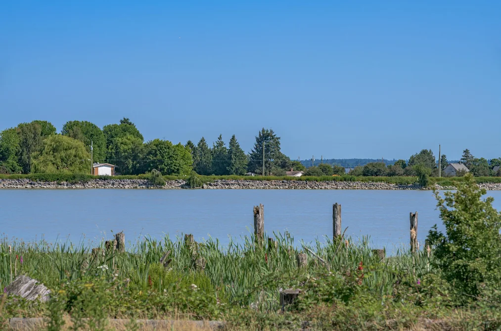 3995 TRIM ROAD, Delta BC V4K 3N2, Delta BC — Land for Sale - Photo 3