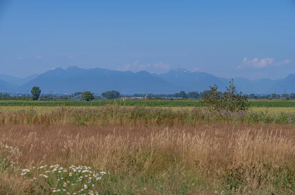 3995 TRIM ROAD, Delta BC V4K 3N2, Delta BC — Land for Sale - Photo 4