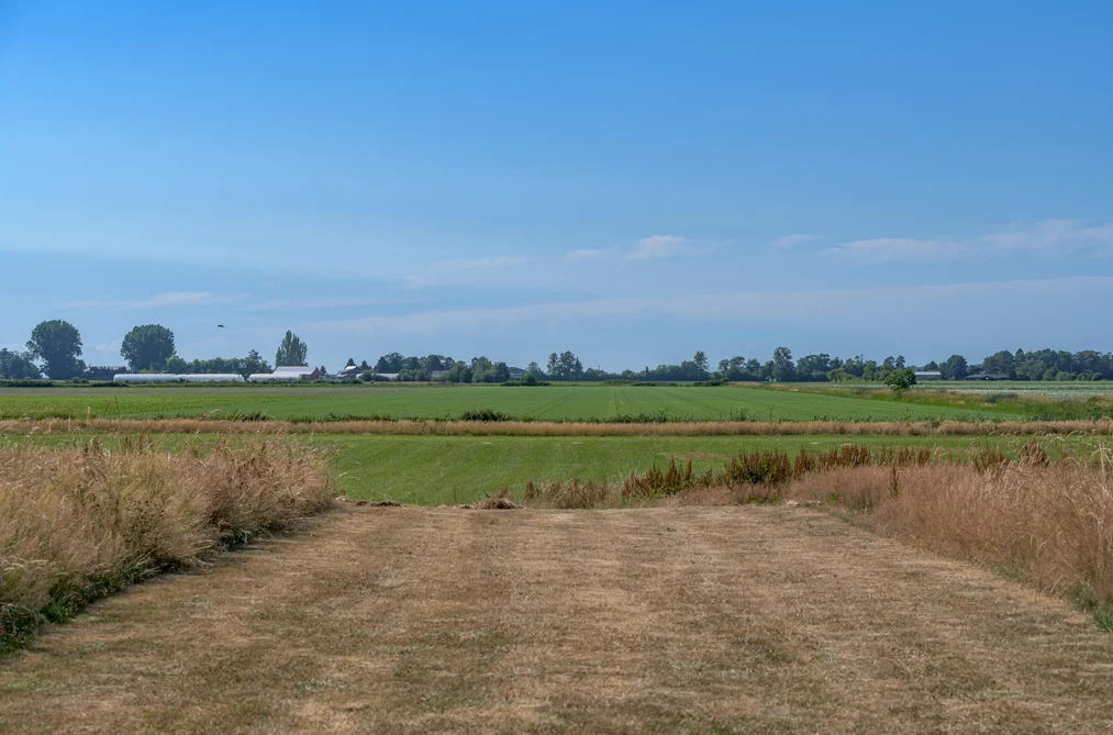 3995 TRIM ROAD, Delta BC V4K 3N2, Delta BC — Land for Sale - Photo 6