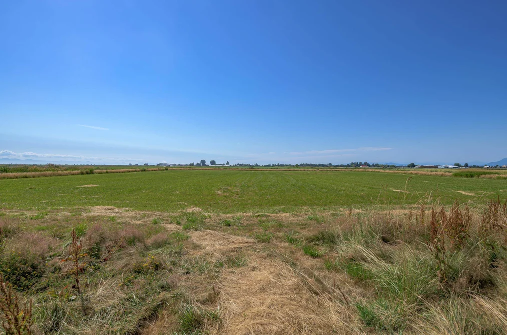 3995 TRIM ROAD, Delta BC V4K 3N2, Delta BC — Land for Sale - Photo 7