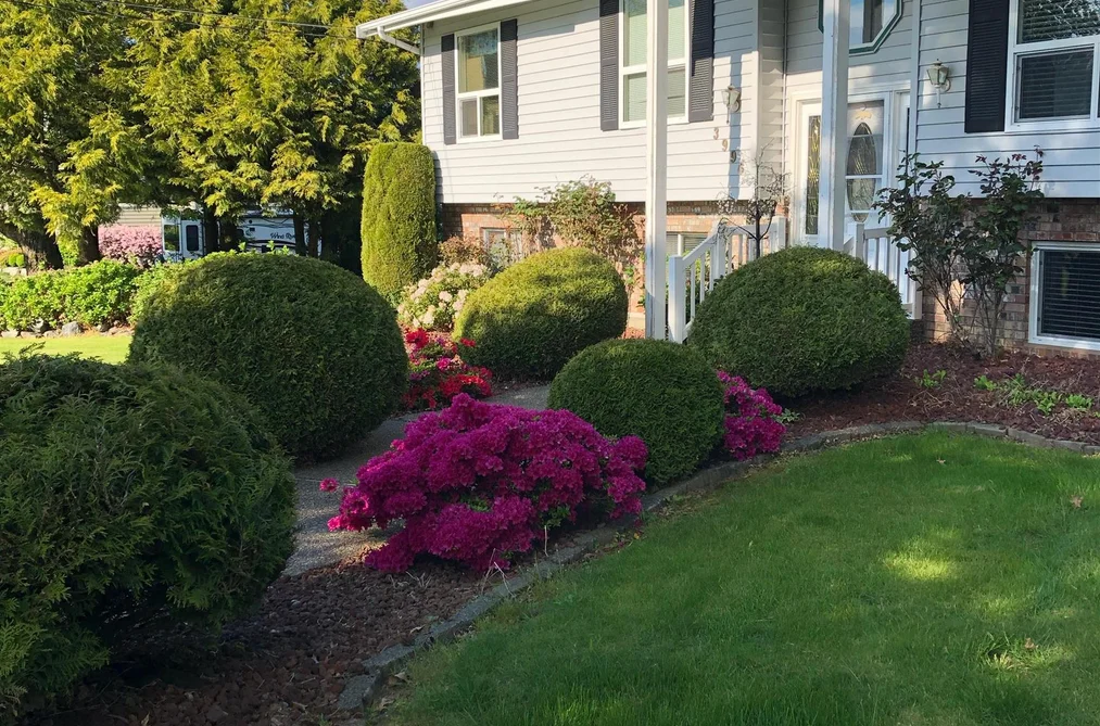 3996 ECKERT STREET, Yarrow BC V2R 5J6, Yarrow BC — Residential for Sale - Photo 4