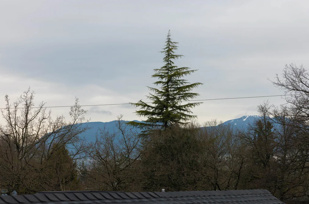 4 419 W 23RD AVENUE, Vancouver BC V5Y 2H5, Vancouver BC — Residential for Sale — Photo 30 of 37