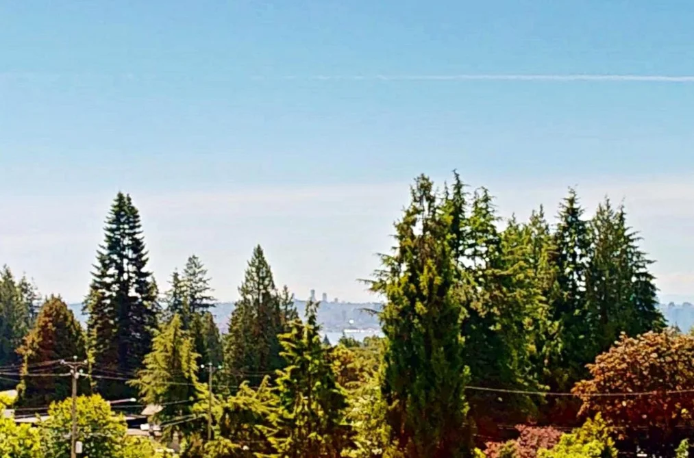 Condo for sale at 402 650 Evergreen Place North Vancouver British Columbia - MLS: R3135838