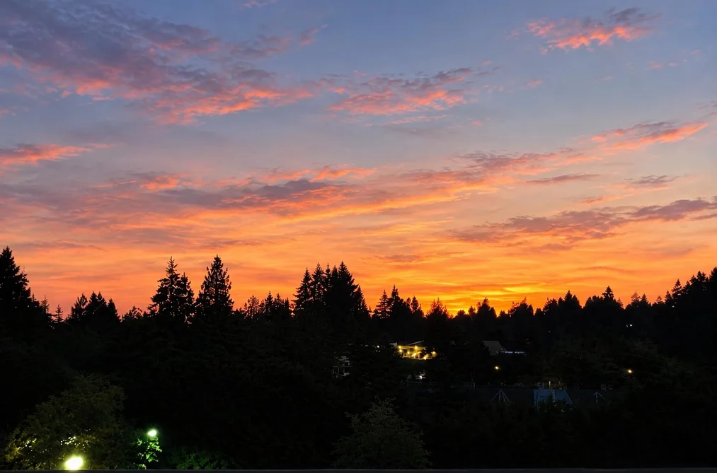 1210 E 27th St Unit 404, North Vancouver, BC - MLS: R3166981