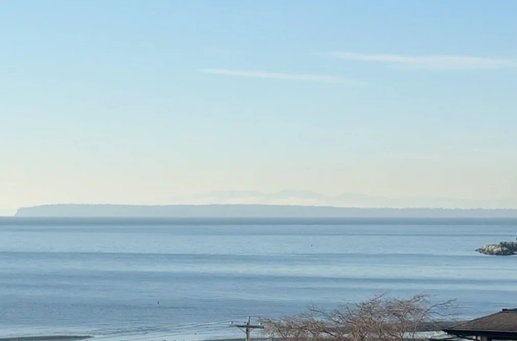 Condo for sale at 406 15621 Marine Drive White Rock British Columbia - MLS: R3083428