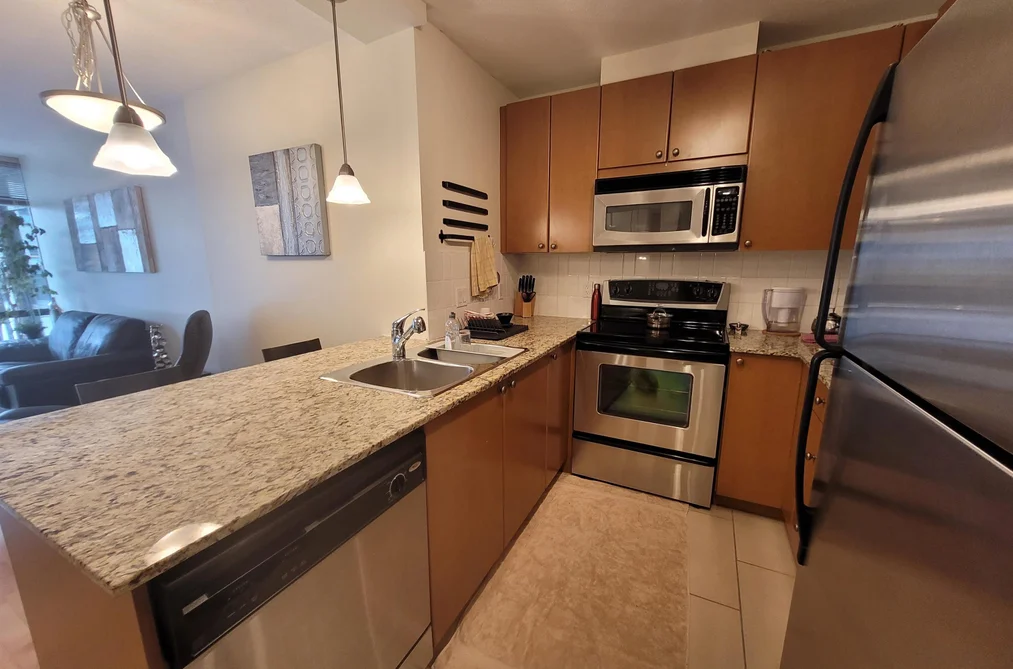 610 Victoria St Unit 408, New Westminster, BC - MLS: R3169236