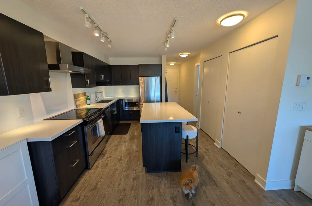 414 500 ROYAL AVENUE, New Westminster BC V3L 0G5, New Westminster BC — Residential for Sale — Photo 9 of 33