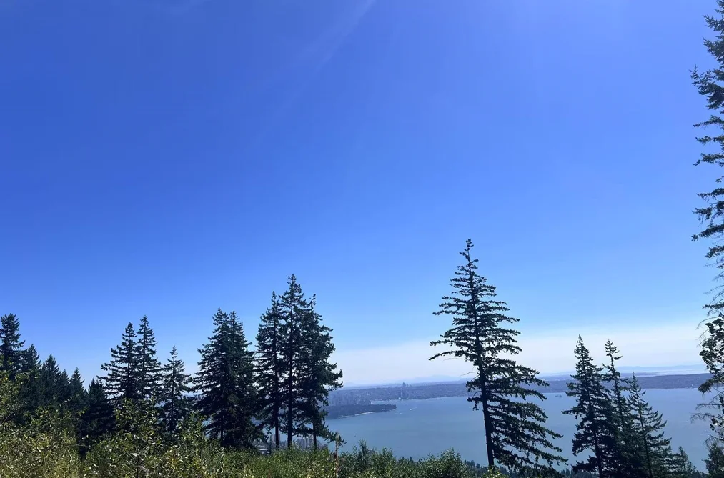 Property for sale at 4140 Cypress Bowl Road West Vancouver British Columbia - MLS: R3035705