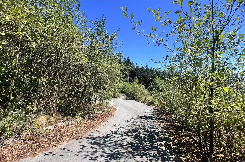 4140 CYPRESS BOWL ROAD, West Vancouver BC V7S 3H9, West Vancouver BC — Land for Sale - Photo 2