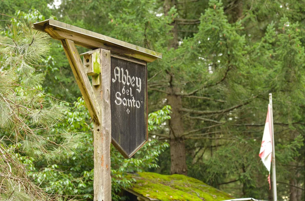 416 WOOD DALE DRIVE, Mayne Island BC V0N 2J2, Mayne Island BC — Land for Sale - Photo 3