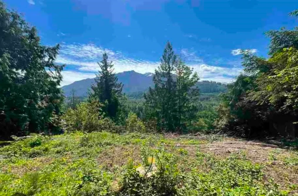 4160 SLESSE ROAD, Chilliwack BC V4Z 1B3, Chilliwack BC — Land for Sale - Photo 2