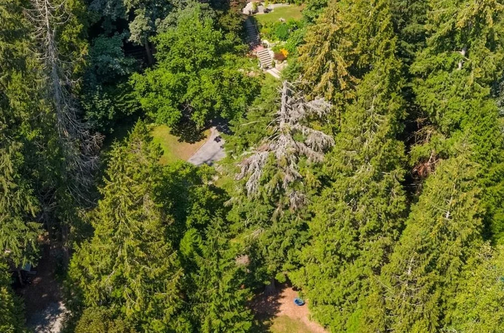 4163 CEDAR DRIVE, Coquitlam BC V3E 3H7, Coquitlam BC — Residential for Sale - Photo 3