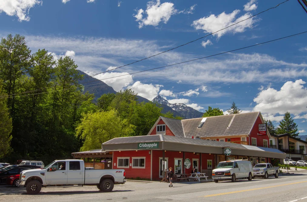 41655 GOVERNMENT ROAD, Squamish BC V0N 1H0, Squamish BC — Land for Sale - Photo 4