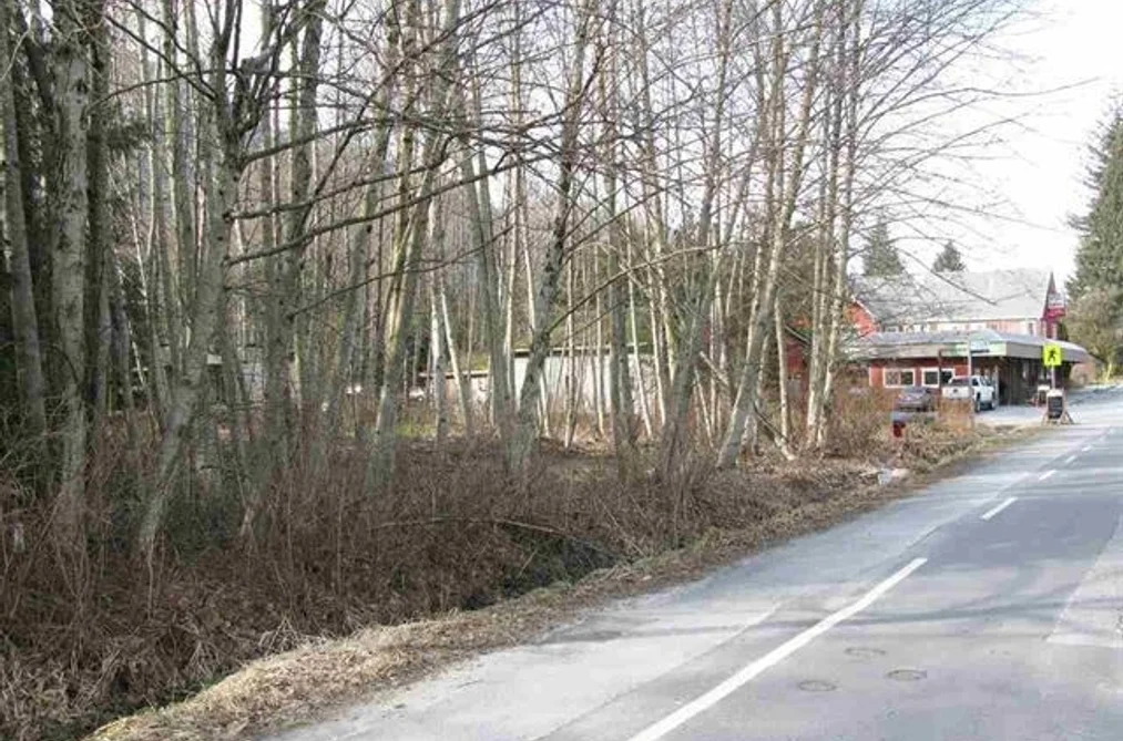 41655 GOVERNMENT ROAD, Squamish BC V0N 1H0, Squamish BC — Land for Sale - Photo 5