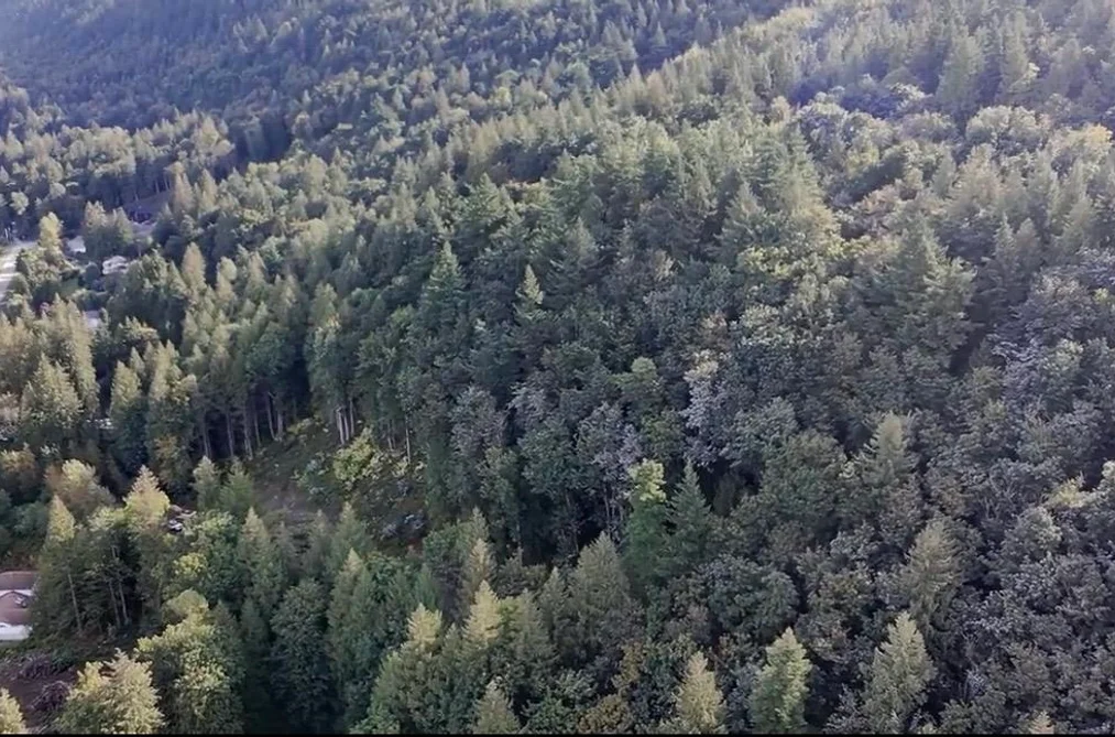 41768 BOWMAN ROAD, Yarrow BC V2R 5G8, Yarrow BC — Land for Sale - Photo 3